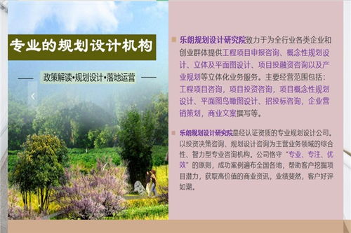 安慶旅游開發(fā)項目可行性報告撰寫與策劃咨詢公司選擇指南