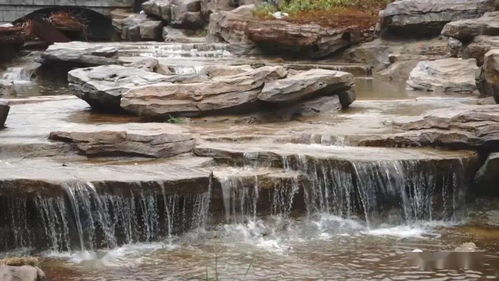 西沖旅游度假區(qū) 大干快上迎兩會，擘畫旅游發(fā)展新藍(lán)圖