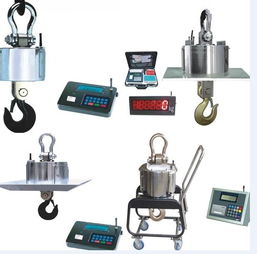 精準高效，源頭保障——3噸行車電子鉤頭秤廠家直銷，打造可靠工業稱重解決方案